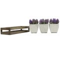 Adlmired By Nature Admired by Nature ABN5P021-PRPL Summer Succulents in Wooden Tray Purple - 3 Piece ABN5P021-PRPL
